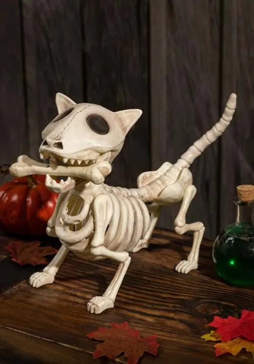 10.5 Inch Digger the Dog Skeleton Prop Main image
