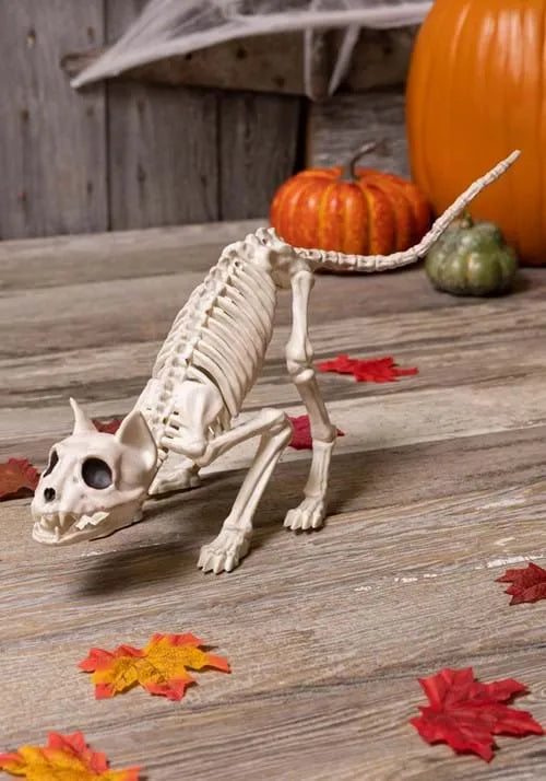 7.5-Inch Lil' Kitty Skeleton Decoration