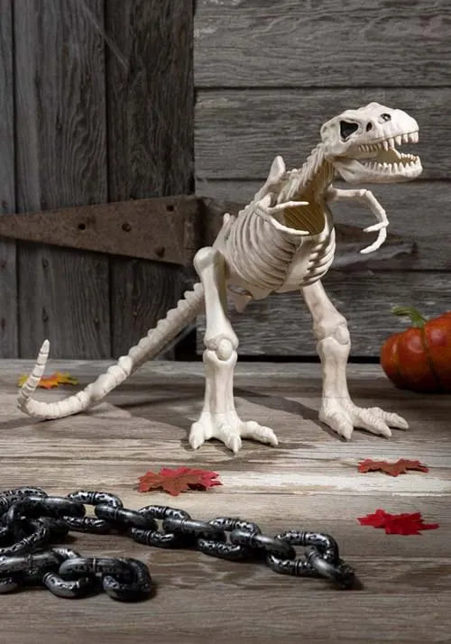 16-Inch T-Rex Skeleton Bones Decoration Main image