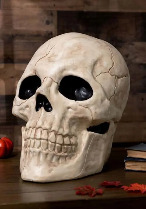 18.5 Inch Giant Skull Prop