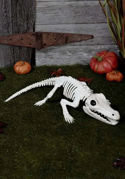 31-Inch Crocodile Skeleton Decoration Main image