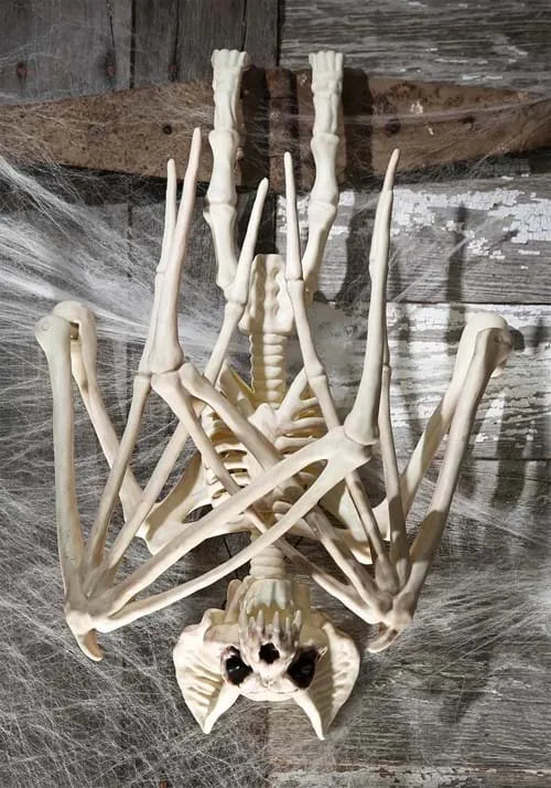 36-Inch Nocturnal Bat Skeleton Decoration Main image