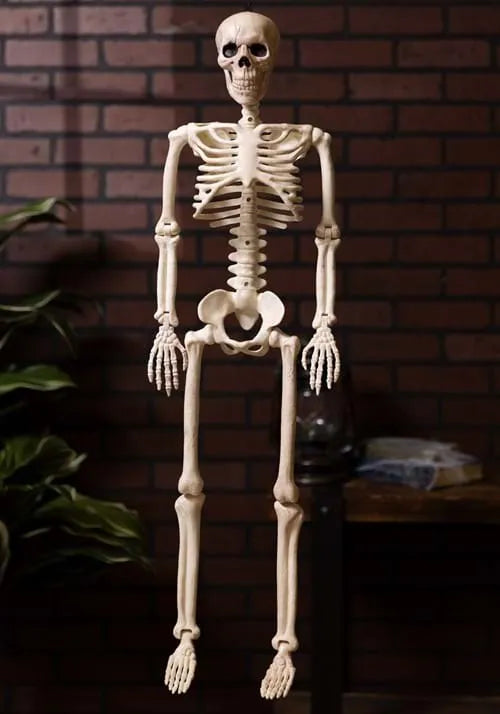 36 Inch Posable Skeleton Decoration Main image