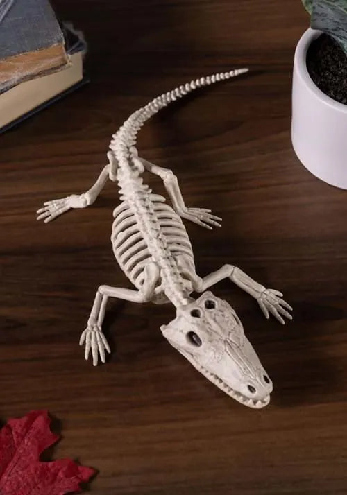 10-Inch Baby Alligator Skeleton Decoration Main image