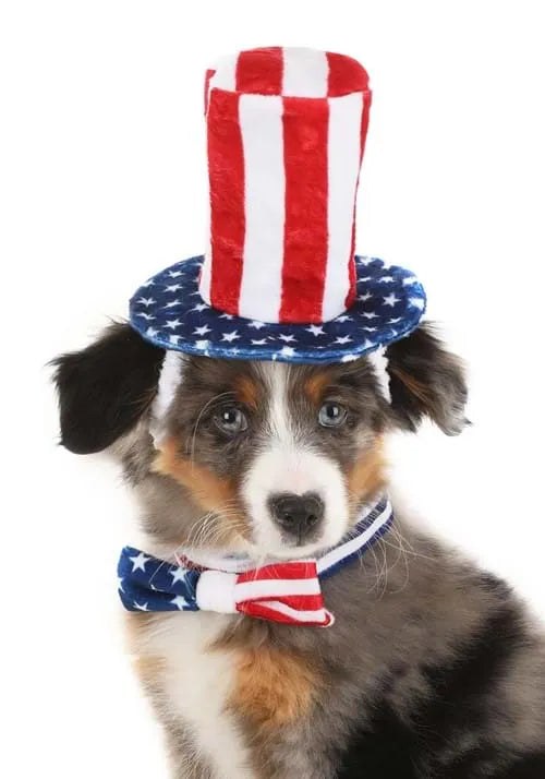 4th of July Pet Costume Kit Main image
