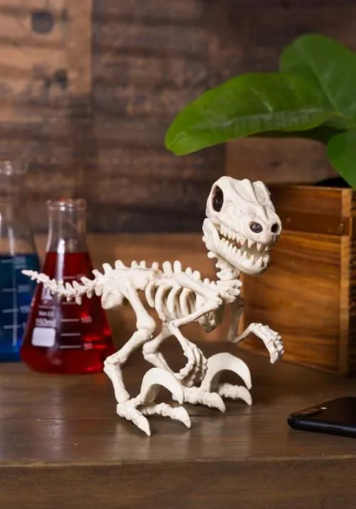 5.5-Inch Raptor Crazy Bonez Prop Main image