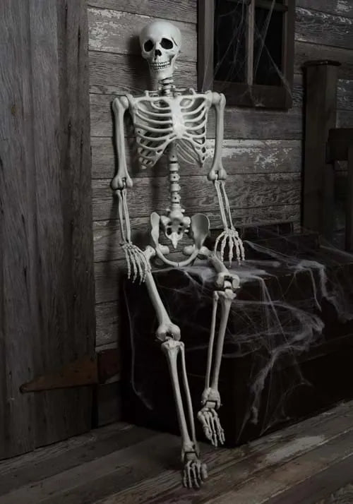 5FT Posable Georgie the Skeleton Life Size Decoration Main image