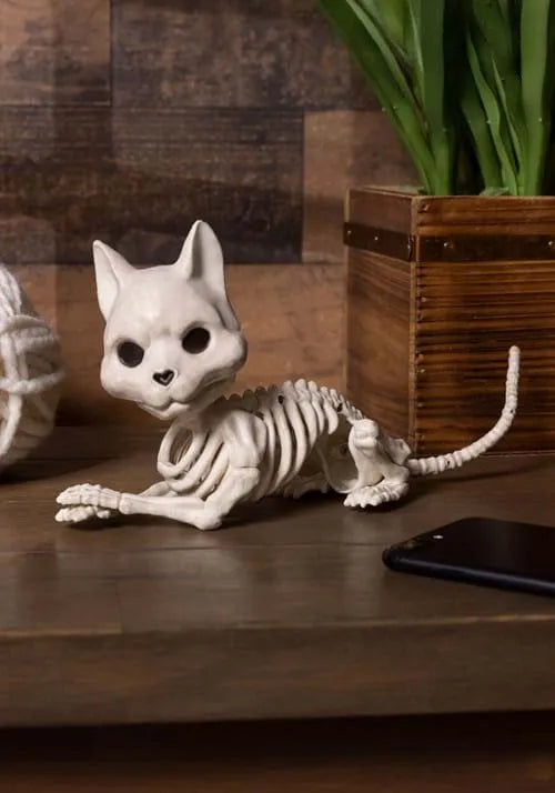 10.5-Inch Cute Skeleton Sitting Cat Decoration Main image