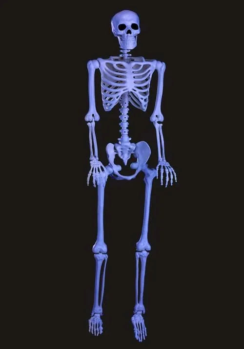 5FT Black Light Ghostly Skeleton Decoration Main image
