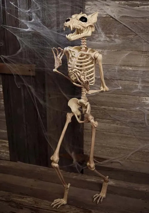 5.3FT Poseable Werewolf Skeleton Decoration Main image
