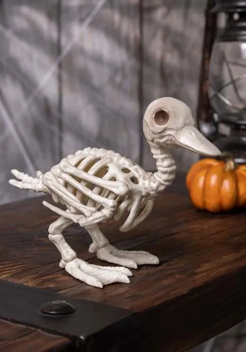7.75-Inch Duckling Bones Skeleton Decoration Main image