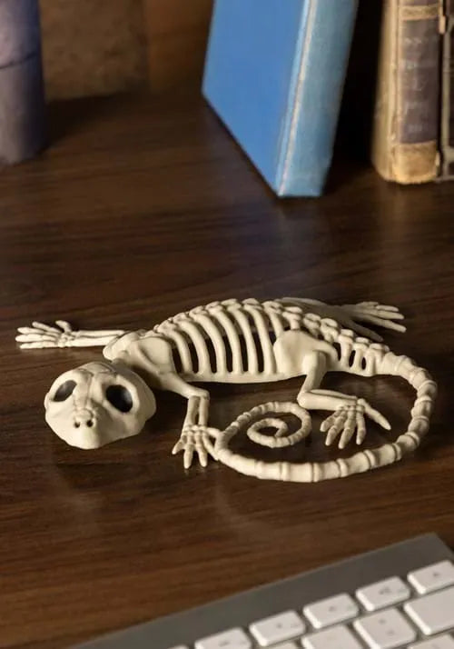 7-Inch Little Gecko Skeleton Decoration Main image