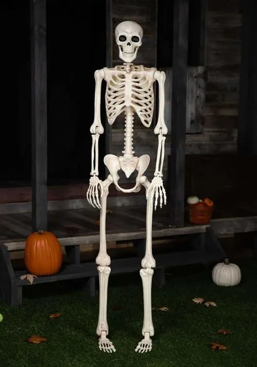 6.1FT Life-Size Skeleton Decoration
