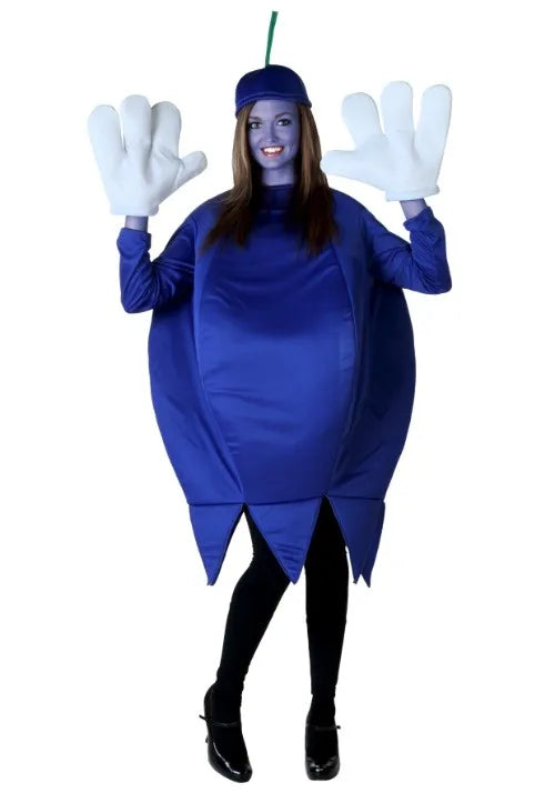 Adult Blueberry Costume Main image