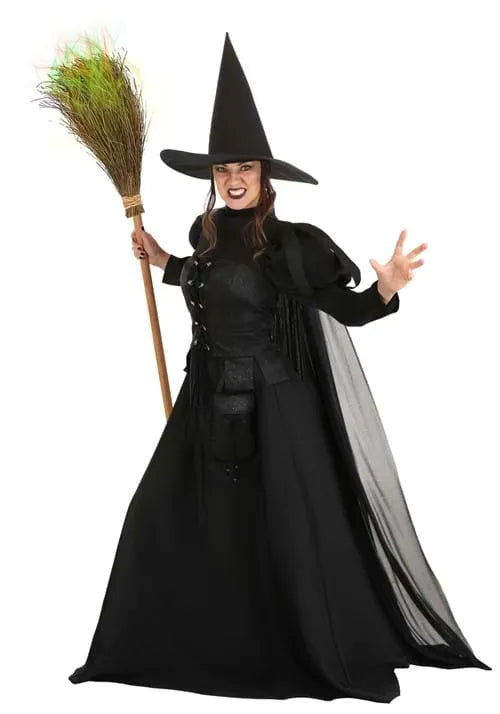 Adult Premium Wayward Witch Costume Main image