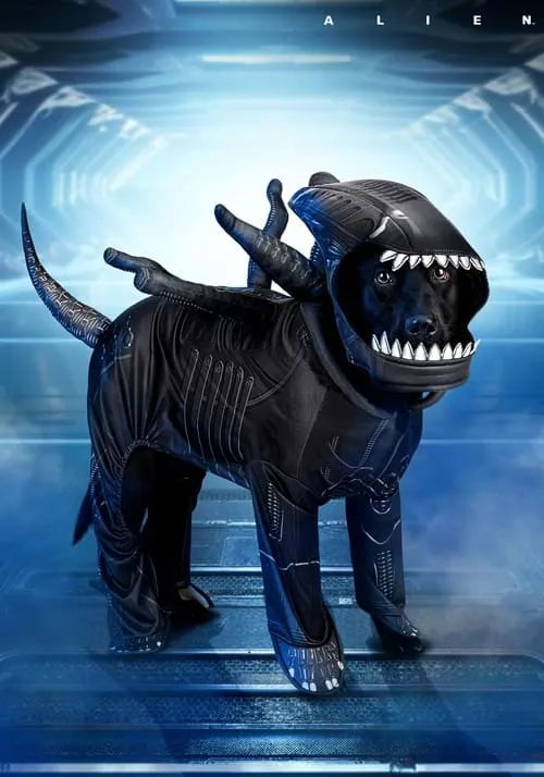 Alien Xenomorph Pet Costume Main image