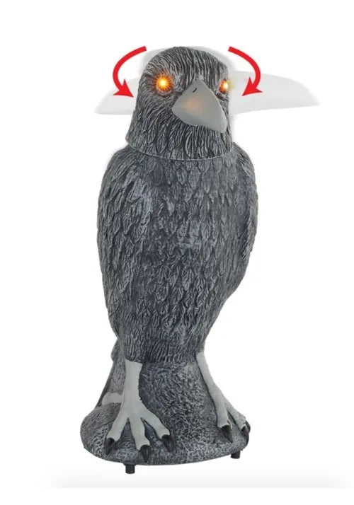 Animated Spooky Raven Halloween DÃ©cor