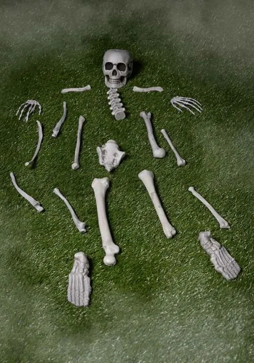 Bag of Skeleton Bones Decoration
