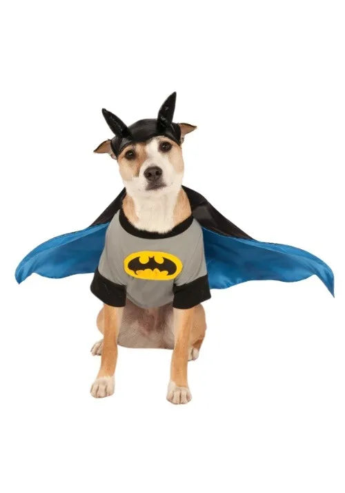 Batman Pet Costume Main image