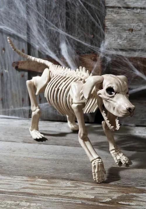 20-Inch Beagle Bonez Skeleton Dog Decoration Main image