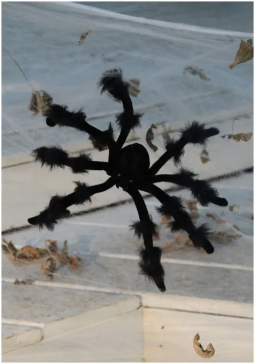 20-Inch Poseable Black Spider Decoration Main image