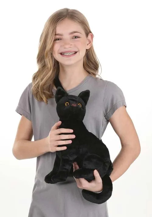 Black Cat Costume Companion Main image