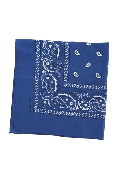 Blue Bandana Main image