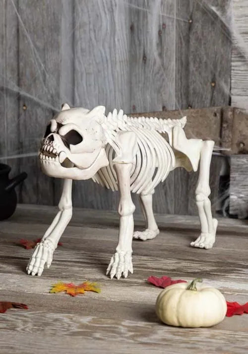 11-Inch Bones the Hungry Hound Skeleton Dog Decoration