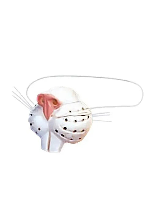 Bunny Nose Main image