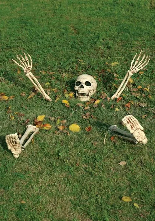 5 Piece Buried Alive Skeleton Decoration Main image