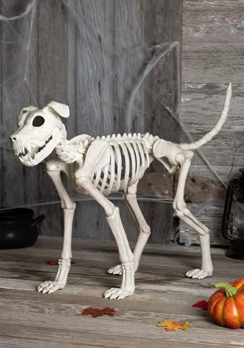28-Inch Buster Bonez Skeleton Dog Decoration Main image