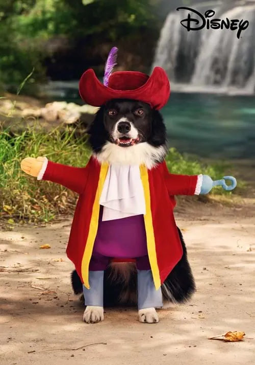 Disney Captain Hook Pet Costume