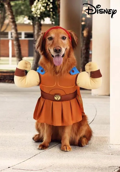 Disney Pet Hercules Costume