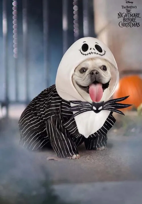Disney Pet Jack Skellington Costume