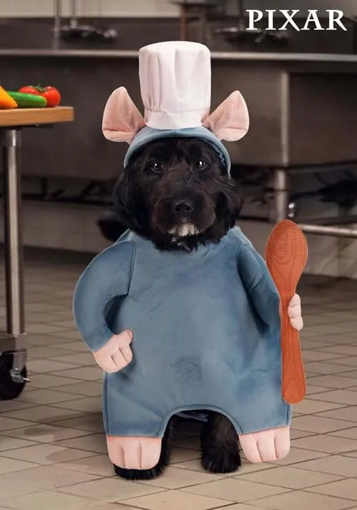 Disney Pixar Remy Pet Costume