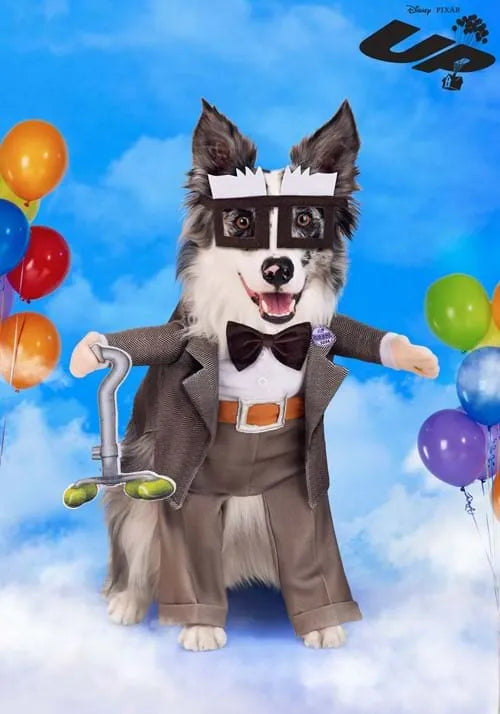 Disney Pixar Up Pet Carl Costume
