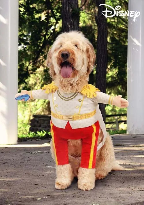 Disney Prince Charming Pet Costume