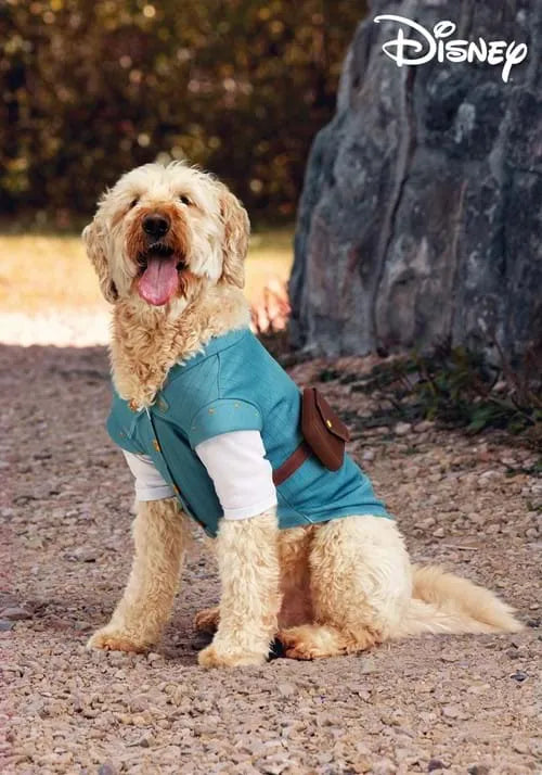 Disney Tangled Flynn Rider Costume for Pets