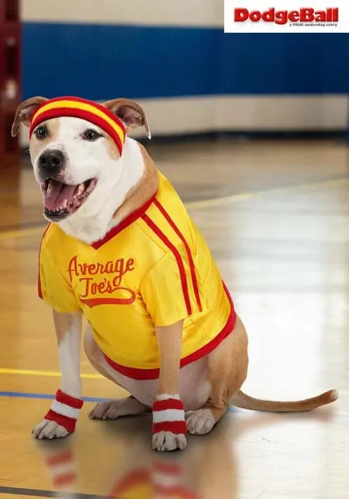 Dodgeball Average Joe's Pet Costume