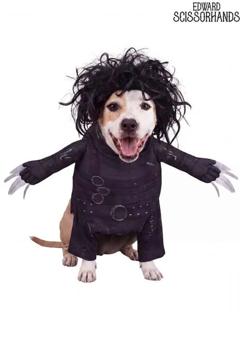 Edward Scissorhands Costume for Pets