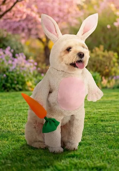 Fluffy Bunny Pet Costume