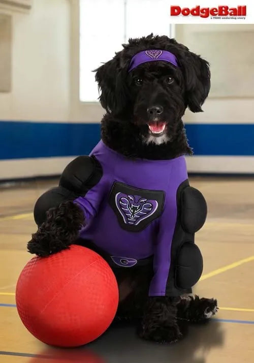 Dodgeball Pet Globo Gym Costume