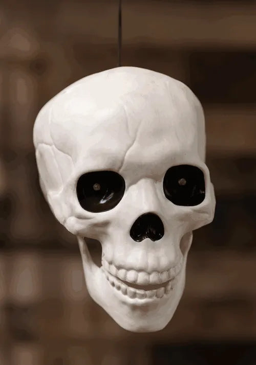 Glow in the Dark Talking Skull Prop
