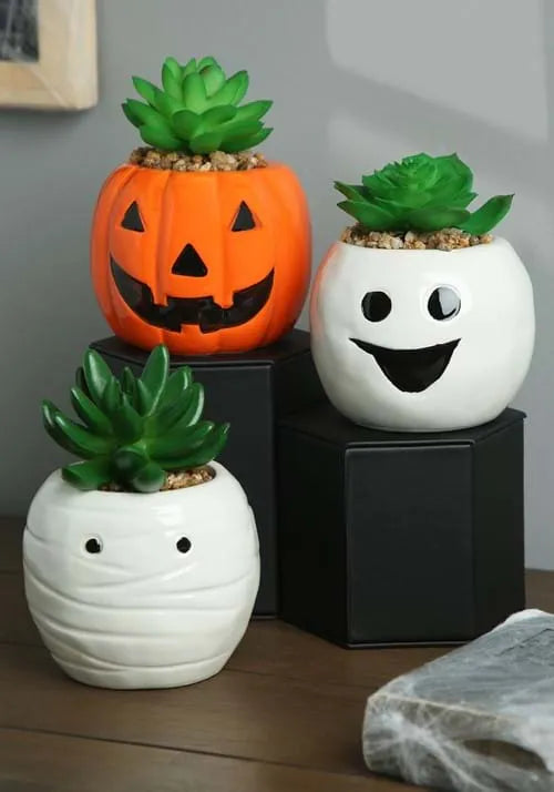 Halloween Pumpkin, Ghost, and Mummy Succulent Planter Decorative Set
