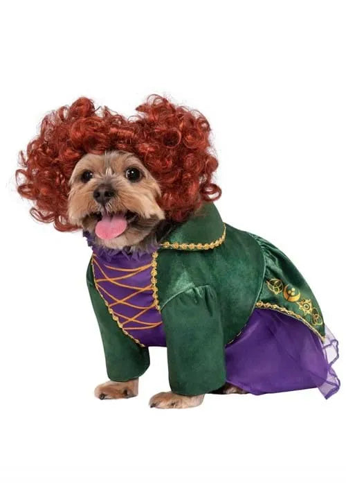 Disney Hocus Pocus Winifred Sanderson Pet Costume