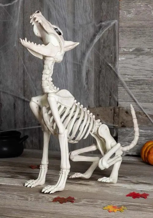 27-Inch Howl At The Moon Skeleton Dog Decoration
