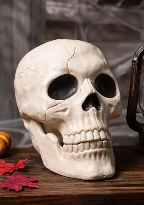 10-Inch Large Skull with Moveable Jaw Decoration Main image