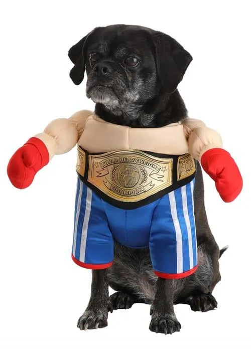 Champion Boxer Pet Costume