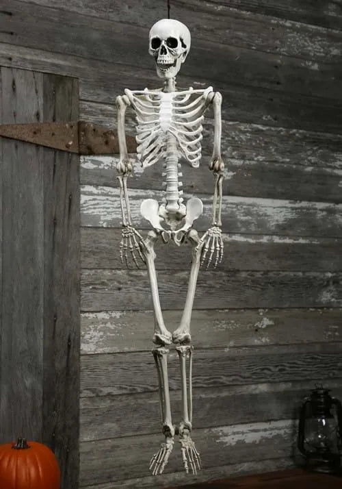 36-Inch Plastic Realistic Skeleton Decoration Main image