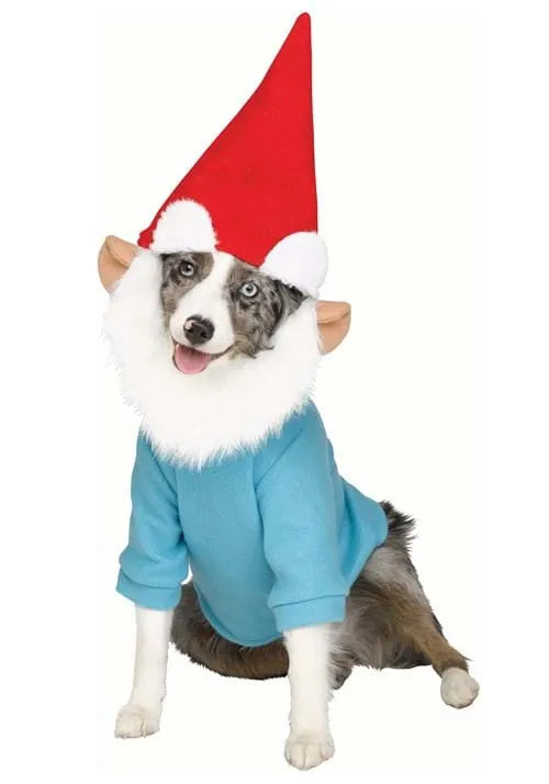 Garden Gnome Pet Costume